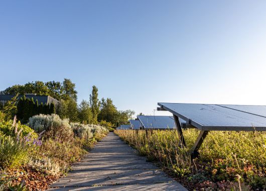 Mit grünen Anleihen zu mehr Klimaschutz